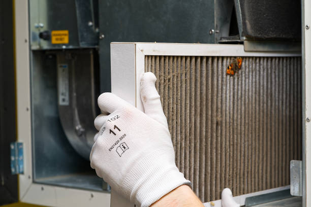Best Ductwork Cleaning Services  in Timnath, CO